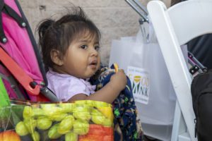 Child in stroller