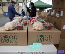 Boxes of shelf-stable food products, frozen chicken and fresh strawberries are lined up in preparation for a drive through distribution for those in need at an event hosted by the Los Angeles Regional Food Bank.