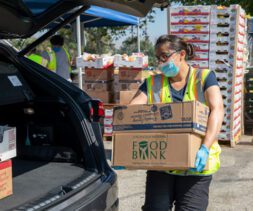 A volunteer loads food boxes onto a car