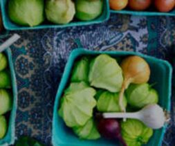 Baskets brimming with fresh vegetables, such as tomatillos, onions, garlic, and tomatoes, are artfully arranged on a patterned tablecloth—thanks to the efforts of the Los Angeles Regional Food Bank.