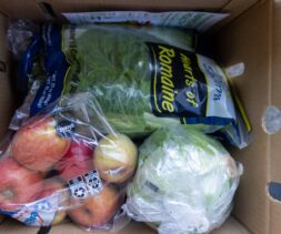 A cardboard box from the food bank contains a bag of apples, a bag of green lettuce labeled 