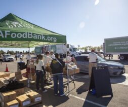 Volunteers distribute food at an outdoor drive-thru event, showcasing their dedication in an inspiring Impact Report. A green tent with 