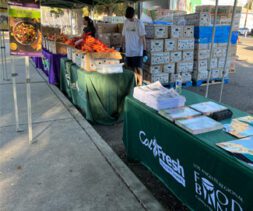 A sidewalk food bank distribution site with tables covered in green cloths, produce boxes, and stacks of flyers. Two people are working under canopy tents in the morning light.
