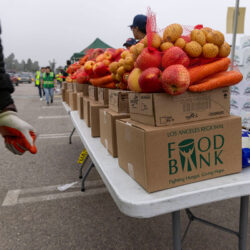 los-angeles-regional-food-bank-lafb-food-distribution-2025-1