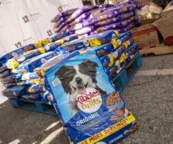 Bags of Kibbles 'n Bits Original dog food, in line with Assembly Bill 660 standards, are stacked on a blue pallet outdoors. One bag stands upright in front; other pet food bags and a white Eastmont Community Center banner appear behind.