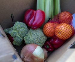 fresh produce at the Church of the Redeemer