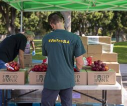 A volunteer in a #WeFeedLA shirt sorts fresh produce at a Los Angeles Regional Food Bank outdoor station. Boxes labeled 