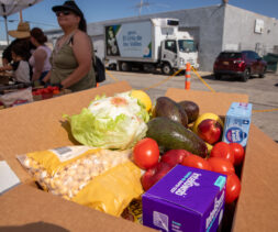 Food distribution at Iglesia El Lirio de los Valles in Lancaster, California