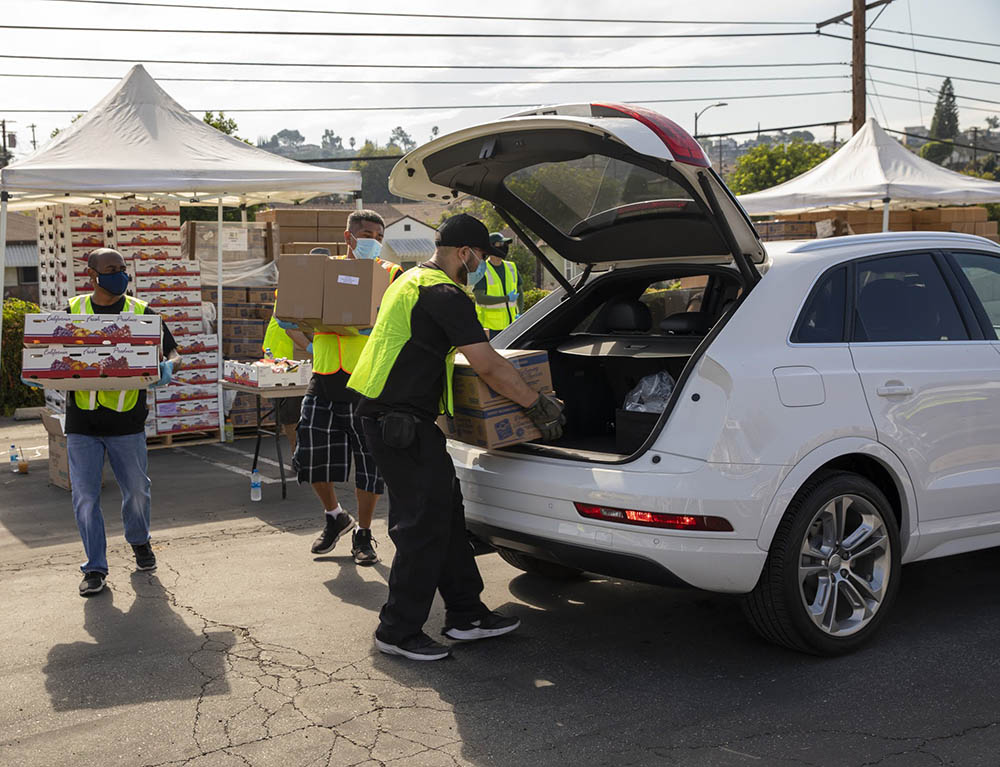 food going into trunk of nice car