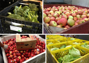 Four photos - broccoli, apples, red apples and lettuce