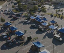 Food Bank drive-through distribution