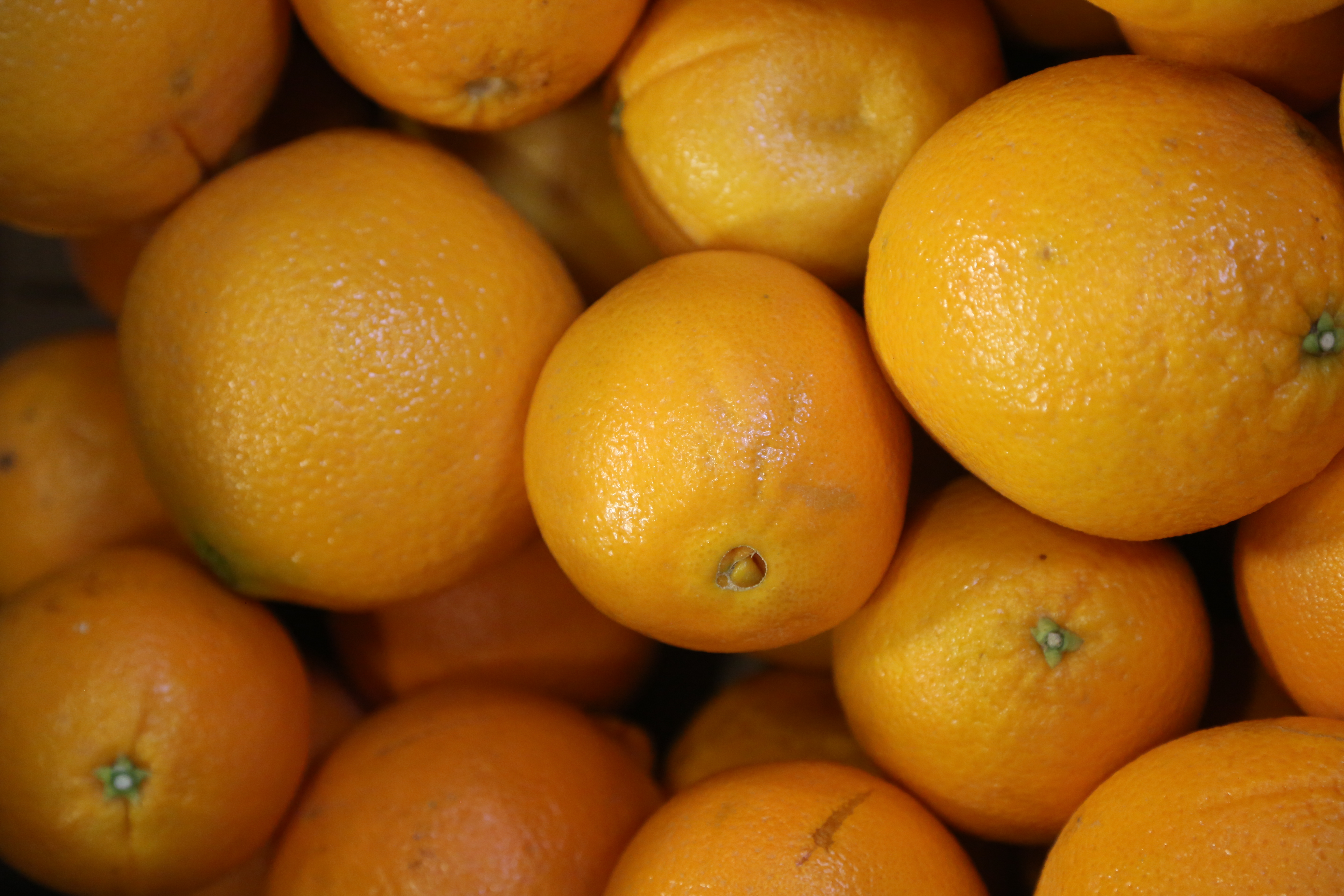 Nutrition Education Los Angeles Regional Food Bank