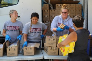 Four people stand by an open truck, distributing packaged food. Three wear matching "Citrus Water Polo" shirts and blue gloves. They smile while handing items to a woman with short hair holding a box. Stacks of Los Angeles Regional Food Bank boxes fill the truck in the background.